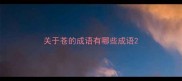 关于苍的成语有哪些成语
