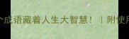 什么不胜什么这7个成语藏着人生大智慧附使用场景和避雷指南