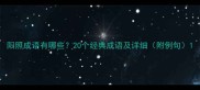 阳照成语有哪些20个经典成语及详细附例句