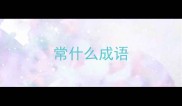常什么成语