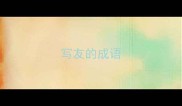写友的成语