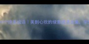 春天形容树的10个绝美成语美到心坎的绿意成语合集学完秒变文化人