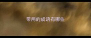 带两的成语有哪些