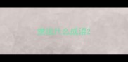 堂组什么成语