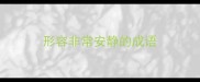 形容非常安静的成语