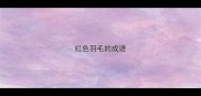 红色羽毛的成语