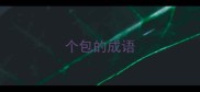 个包的成语