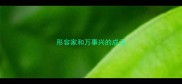 形容家和万事兴的成语