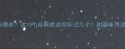 有马的成语有哪些这10个经典成语你听过几个附趣味用法和记忆技巧