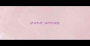 成语中有气字的成语是