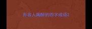形容人陶醉的四字成语