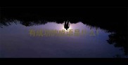 有成功的成语是什么
