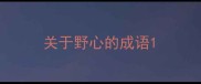关于野心的成语