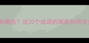 冰字开头的成语有哪些这20个成语的寓意和用法全附实用场景