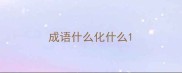 成语什么化什么