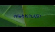 有猫有蛇的成语