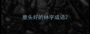 意头好的林字成语