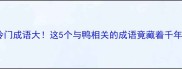 鸭文化冷门成语大这5个与鸭相关的成语竟藏着千年智慧