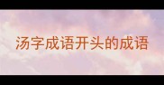 汤字成语开头的成语