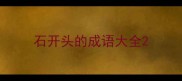 石开头的成语大全