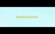 阴阳猜成语成语学堂