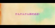 什么什么什么新的成语
