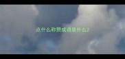 点什么称赞成语是什么