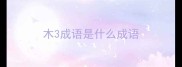 木3成语是什么成语