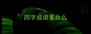 四字成语重什么