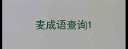 麦成语查询