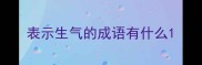 表示生气的成语有什么