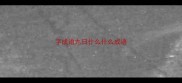 字成语九日什么什么成语