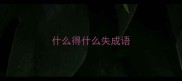 什么得什么失成语