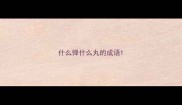 什么弹什么丸的成语