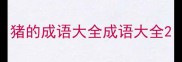 猪的成语大全成语大全