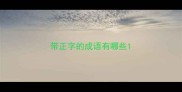 带正字的成语有哪些