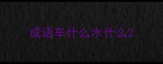 成语车什么水什么