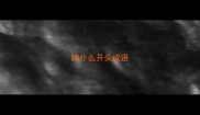 帅什么开头成语