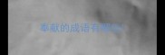 奉献的成语有哪些