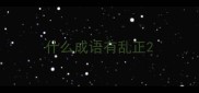 什么成语有乱正