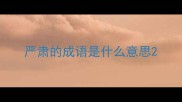 严肃的成语是什么意思