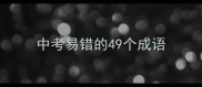 中考易错的49个成语