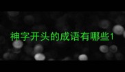 神字开头的成语有哪些