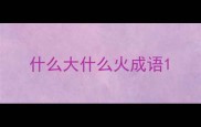 什么大什么火成语