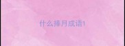 什么捧月成语