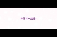 补牙打一成语