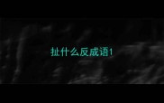 扯什么反成语