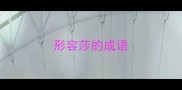形容莎的成语