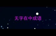 无字在中成语
