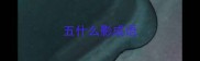五什么影成语